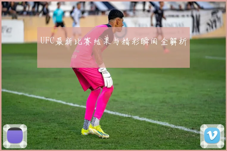 UFC最新比赛结果与精彩瞬间全解析