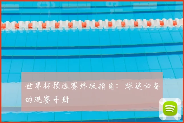 世界杯预选赛终极指南：球迷必备的观赛手册