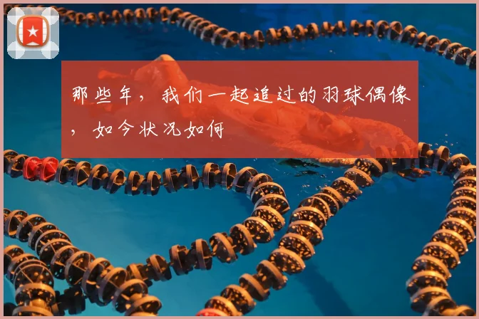 那些年，我们一起追过的羽球偶像，如今状况如何