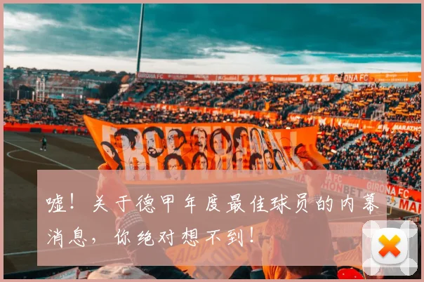 嘘！关于德甲年度最佳球员的内幕消息，你绝对想不到！
