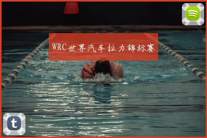 WRC世界汽车拉力锦标赛