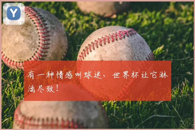 有一种情感叫球迷，世界杯让它淋漓尽致！