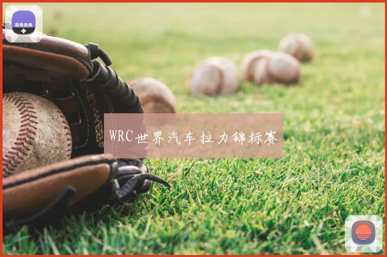 WRC世界汽车拉力锦标赛