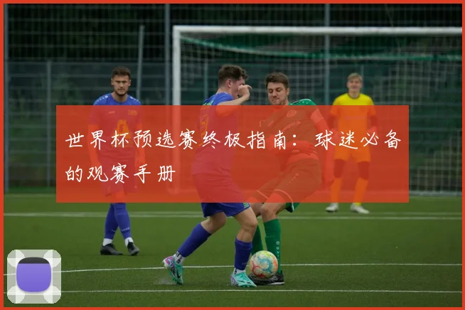 世界杯预选赛终极指南：球迷必备的观赛手册