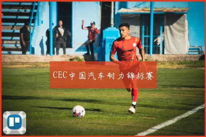 CEC中国汽车耐力锦标赛