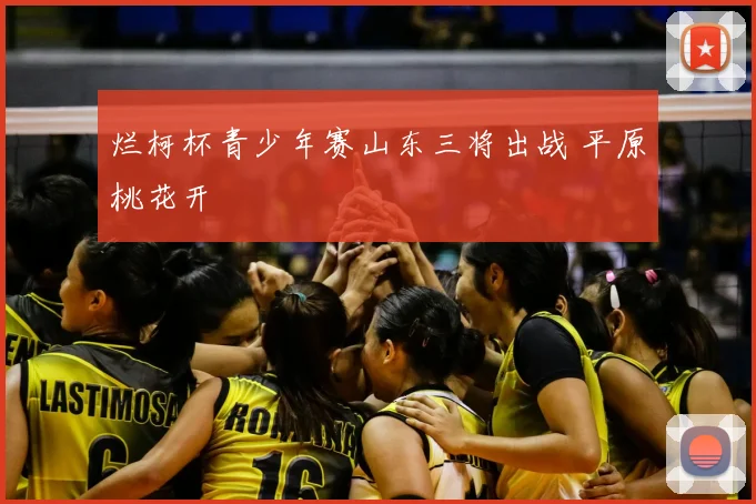 烂柯杯青少年赛山东三将出战 平原桃花开