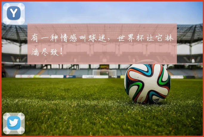 有一种情感叫球迷，世界杯让它淋漓尽致！