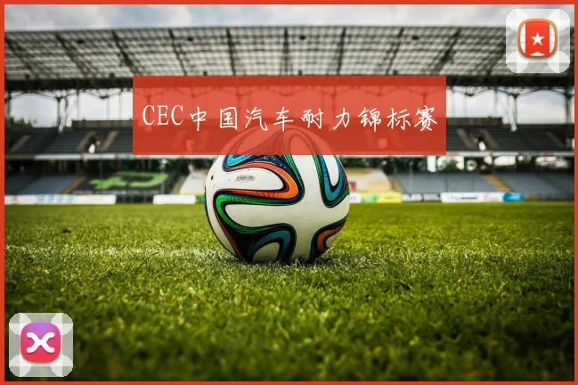 CEC中国汽车耐力锦标赛