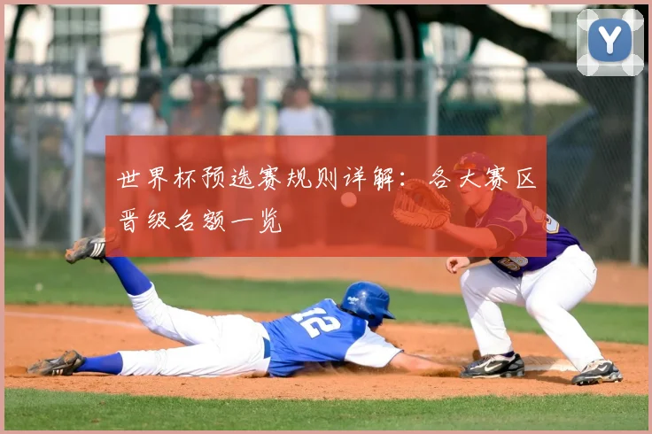 世界杯预选赛规则详解：各大赛区晋级名额一览