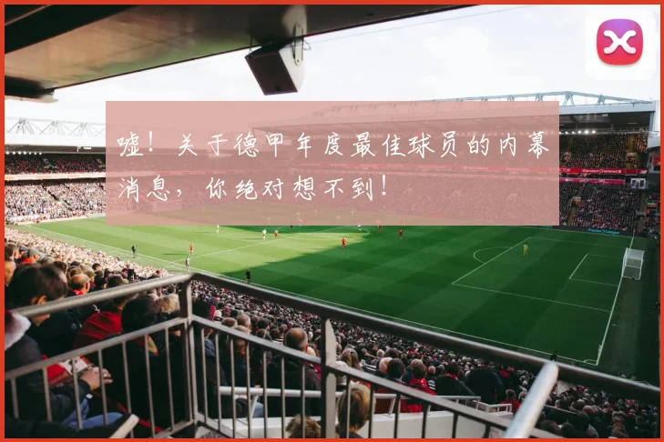嘘！关于德甲年度最佳球员的内幕消息，你绝对想不到！